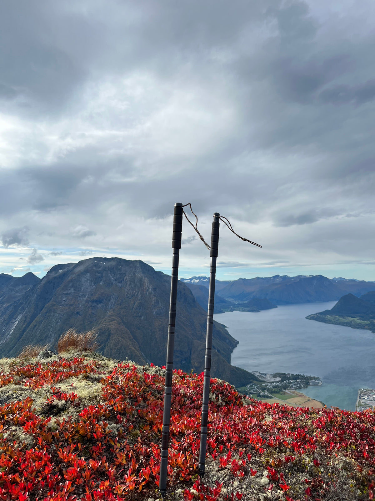 The pole you already hold. The kit you always leave behind.